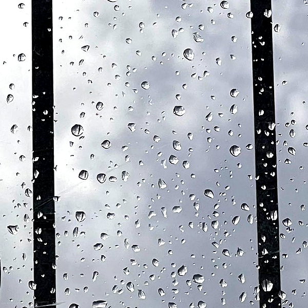 liiuuar instagram image archive image