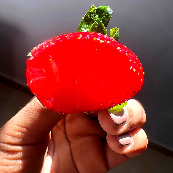 liiuuar instagram image archive image