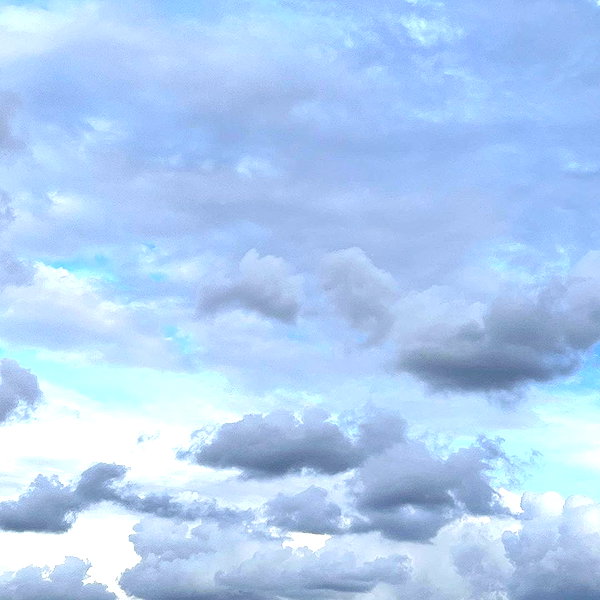 liiuuar instagram image archive image