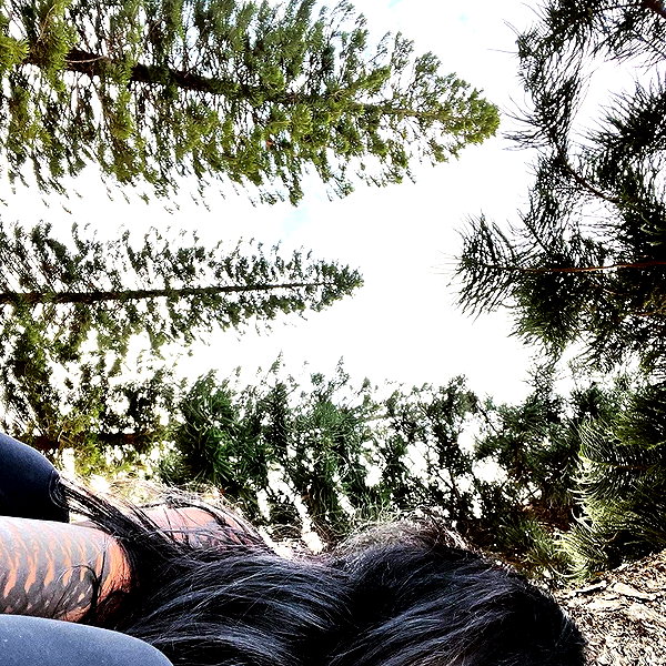 liiuuar instagram image archive image