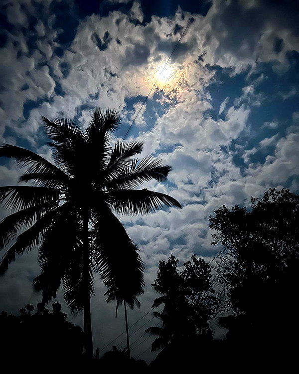 liiuuar instagram image archive image