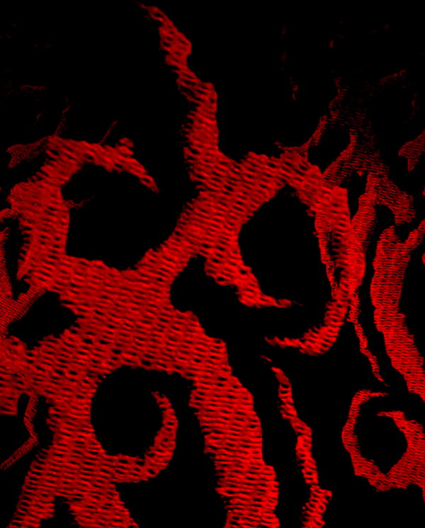 liiuuar instagram image archive image