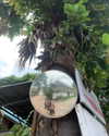 liori_hen Altpins Profile Picture