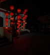 liori_hen Altpins Profile Picture