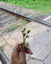 liori_hen Altpins Profile Picture