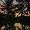 liori_hen Altpins Profile Picture