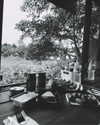 liori_hen Altpins Profile Picture