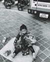 liori_hen Altpins Profile Picture