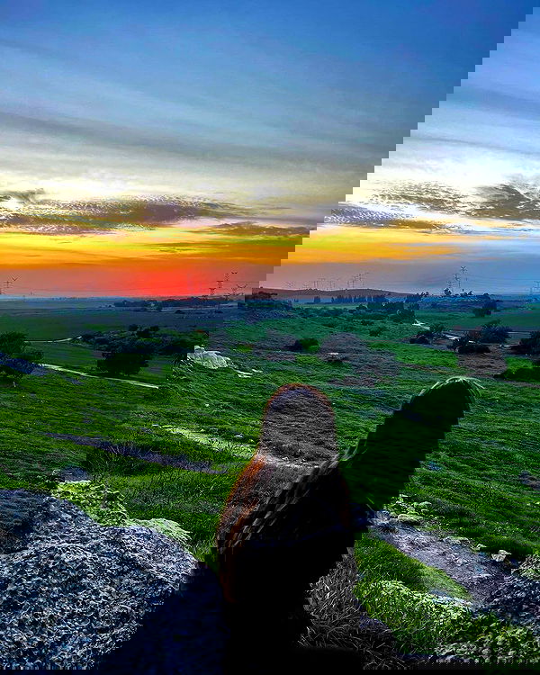 lissi77 lissi77 archive image