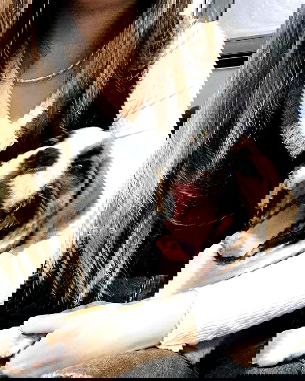 lissi77 lissi77 archive image