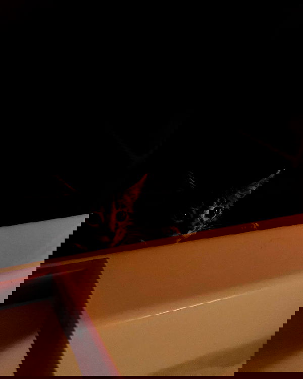 lu2hot lu2hot archive image