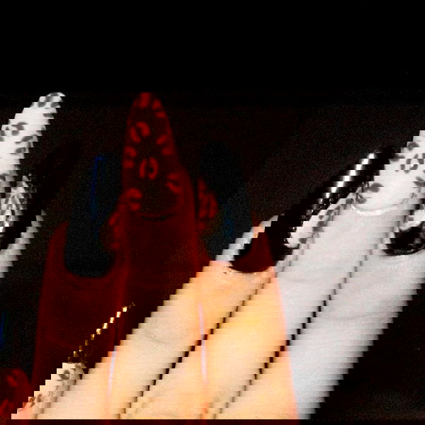 moonliliaght moonliliaght archive image