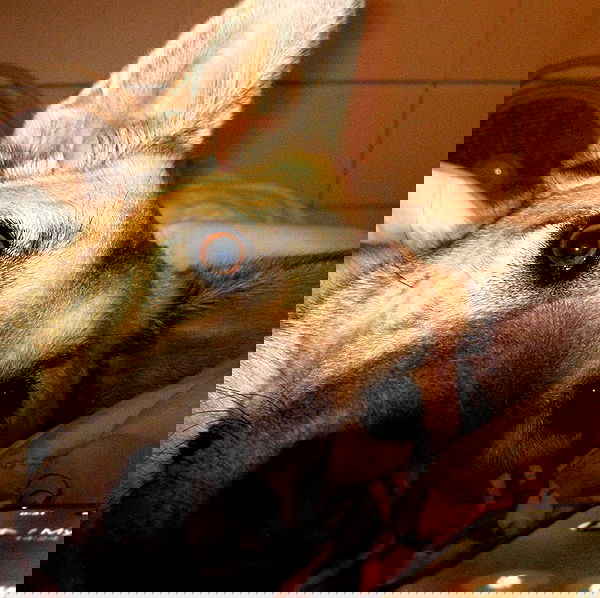 moonliliaght moonliliaght archive image