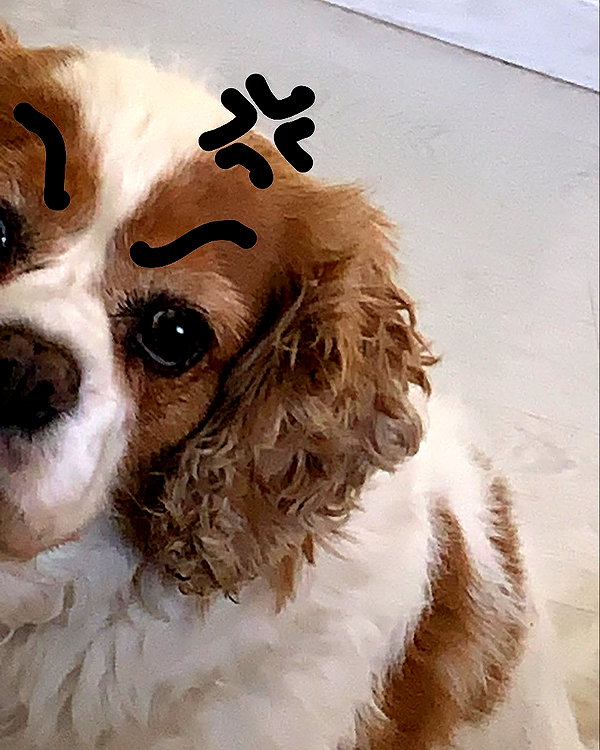 natahalieeee instagram image archive image
