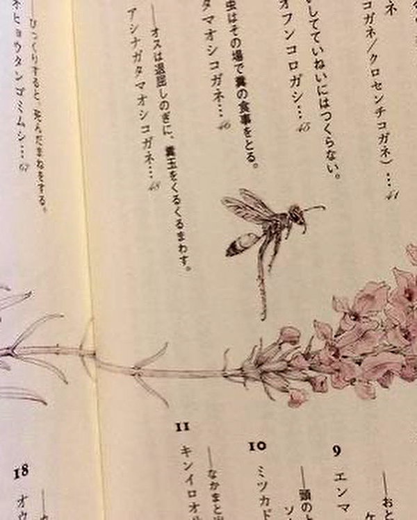natahalieeee instagram image archive image