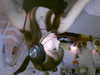 natahalieeee Altpins Profile Picture