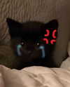 natahalieeee Altpins Profile Picture