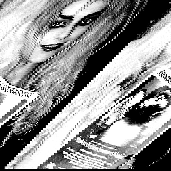 noyaislilith333 noyaislilith333 archive image