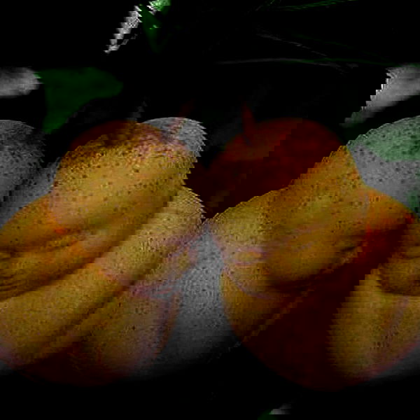 noyaislilith333 noyaislilith333 archive image