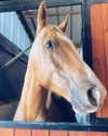 ralitzageo Altpins Profile Picture