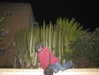 rilav0o0oo Altpins Profile Picture