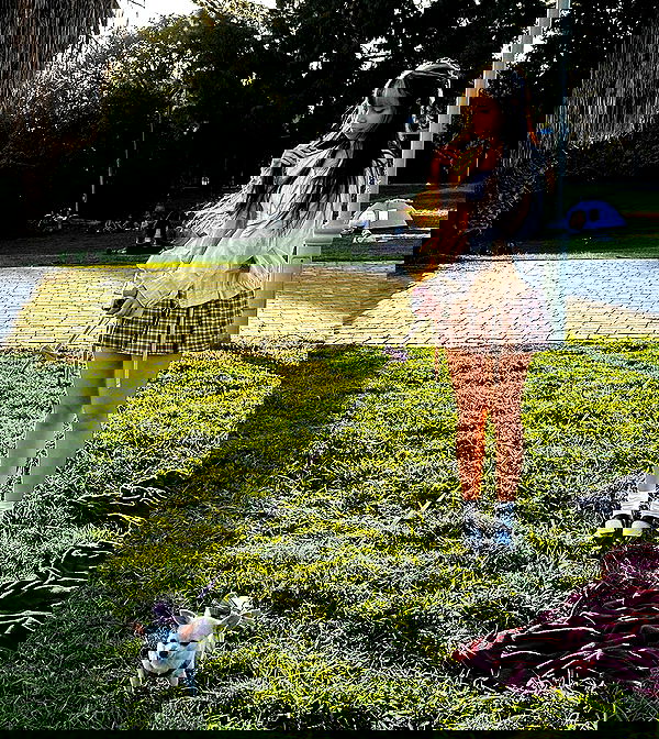 rinsrain rinsrain archive image