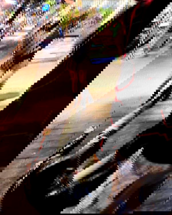 rinsrain rinsrain archive image