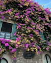 roni_ackerman Altpins Profile Picture