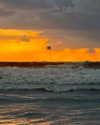 roni_ackerman Altpins Profile Picture