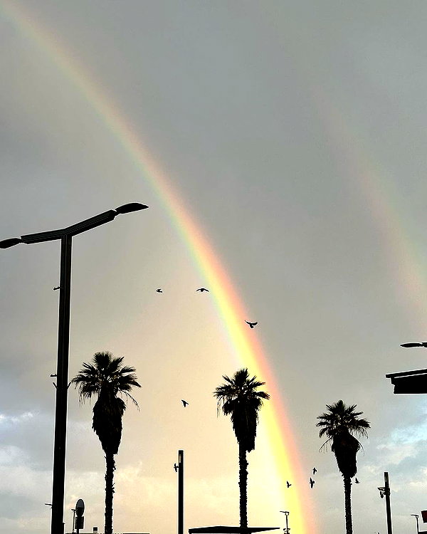 roni_ackerman instagram image archive image