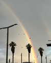 roni_ackerman Altpins Profile Picture