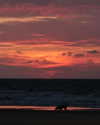 roni_ackerman Altpins Profile Picture
