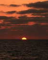 roni_ackerman Altpins Profile Picture