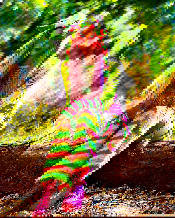 seilorkittyofficial seilorkittyofficial archive image