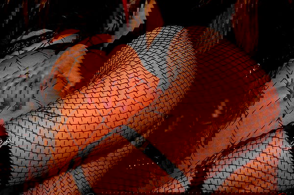 seilorkittyofficial seilorkittyofficial archive image