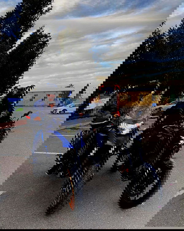 shanidahan7 image ~ Altpins