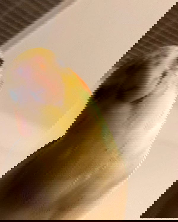 tinapavlov.sky tinapavlov.sky archive image