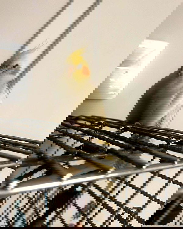 tinapavlov.sky tinapavlov.sky archive image