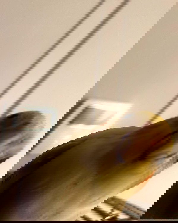 tinapavlov.sky tinapavlov.sky archive image