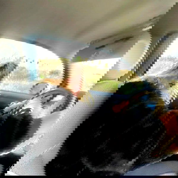 tinapavlov.sky tinapavlov.sky archive image