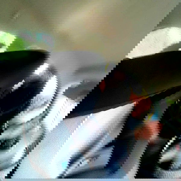 tinapavlov.sky tinapavlov.sky archive image