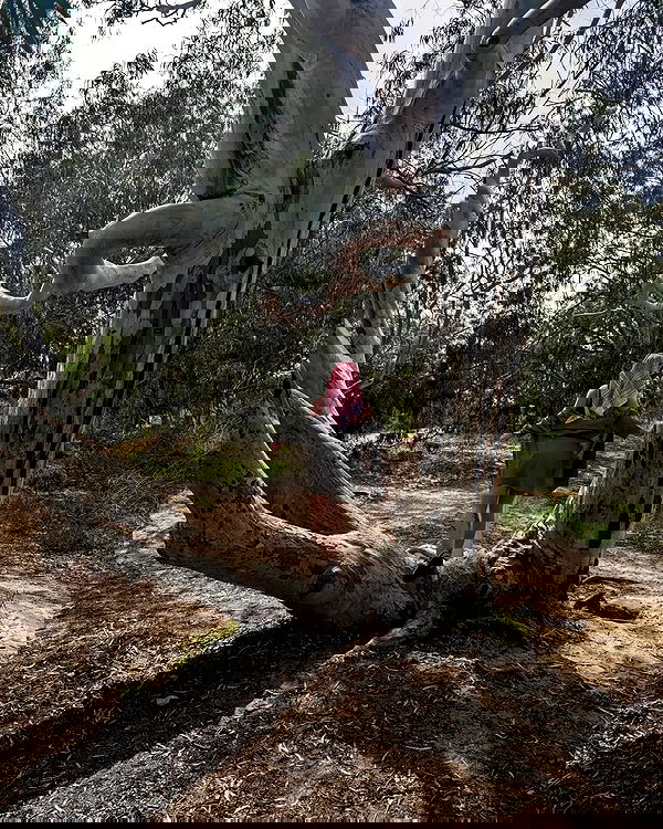 tinapavlov.sky tinapavlov.sky archive image