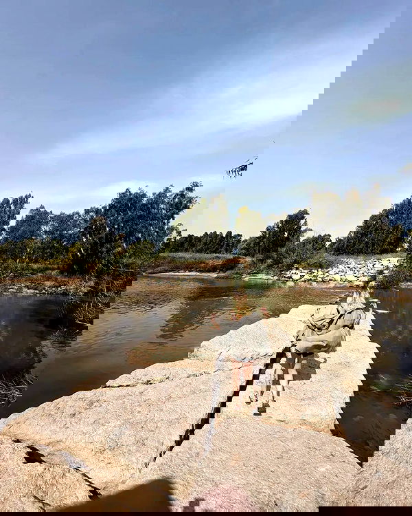 tinapavlov.sky tinapavlov.sky archive image