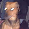 x.maori Altpins Profile Picture