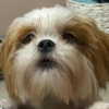x.maori Altpins Profile Picture
