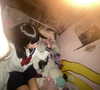 xxk1tty4nnaxx Altpins Profile Picture