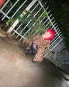xxk1tty4nnaxx Altpins Profile Picture