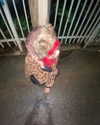 xxk1tty4nnaxx Altpins Profile Picture