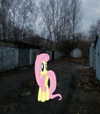 xxk1tty4nnaxx Altpins Profile Picture