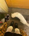 xxk1tty4nnaxx Altpins Profile Picture